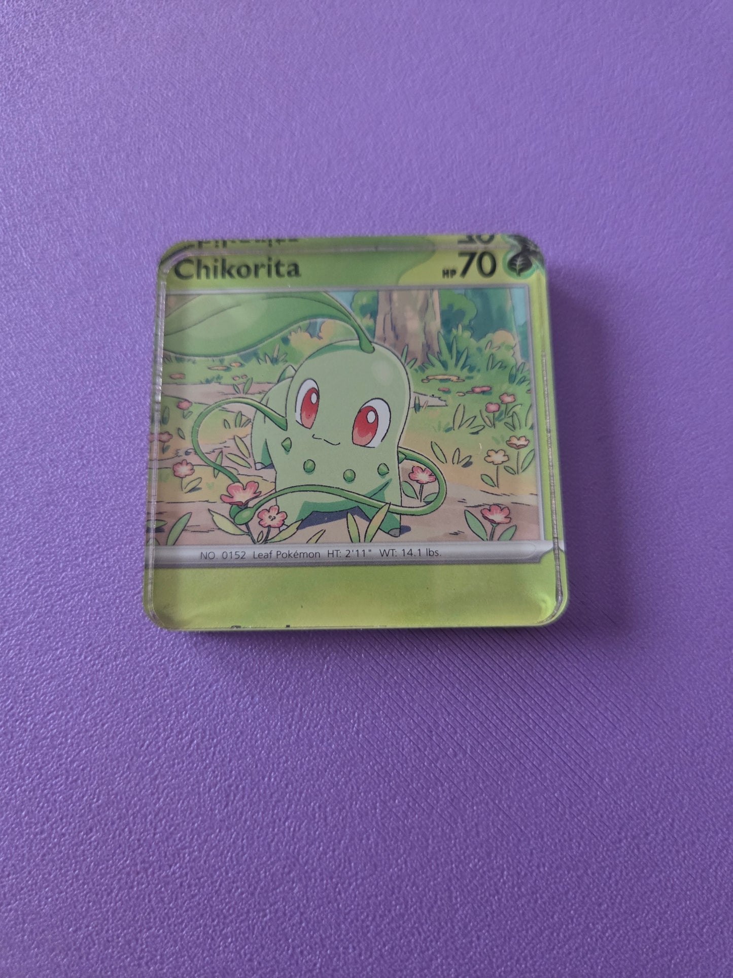Upcycled Pokemon Card Magnets: Grass Type