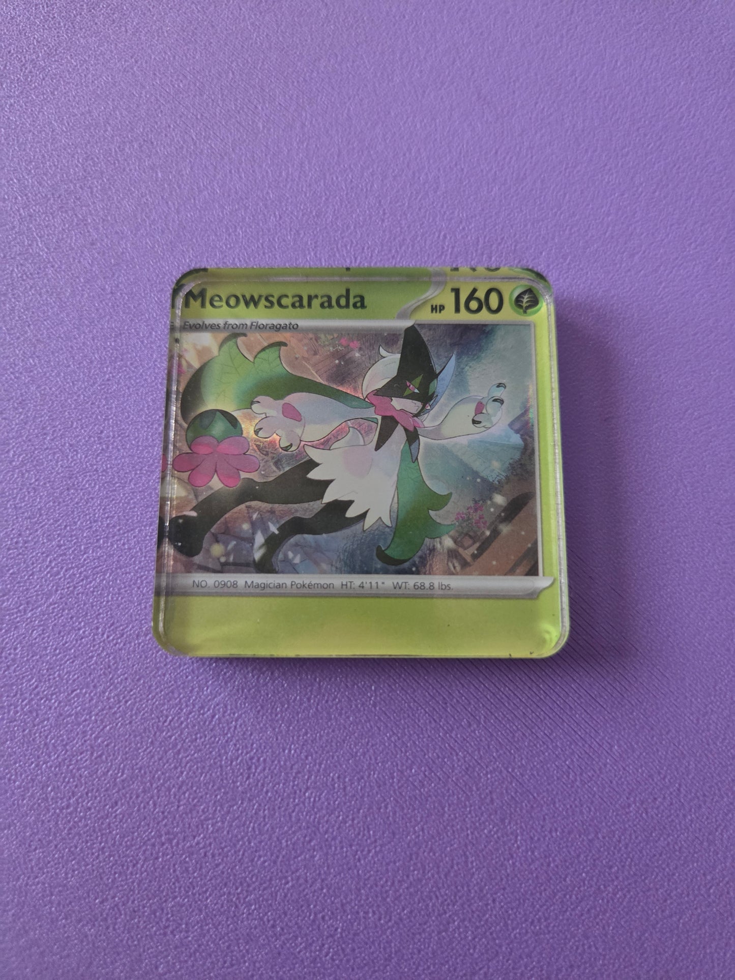 Upcycled Pokemon Card Magnets: Grass Type