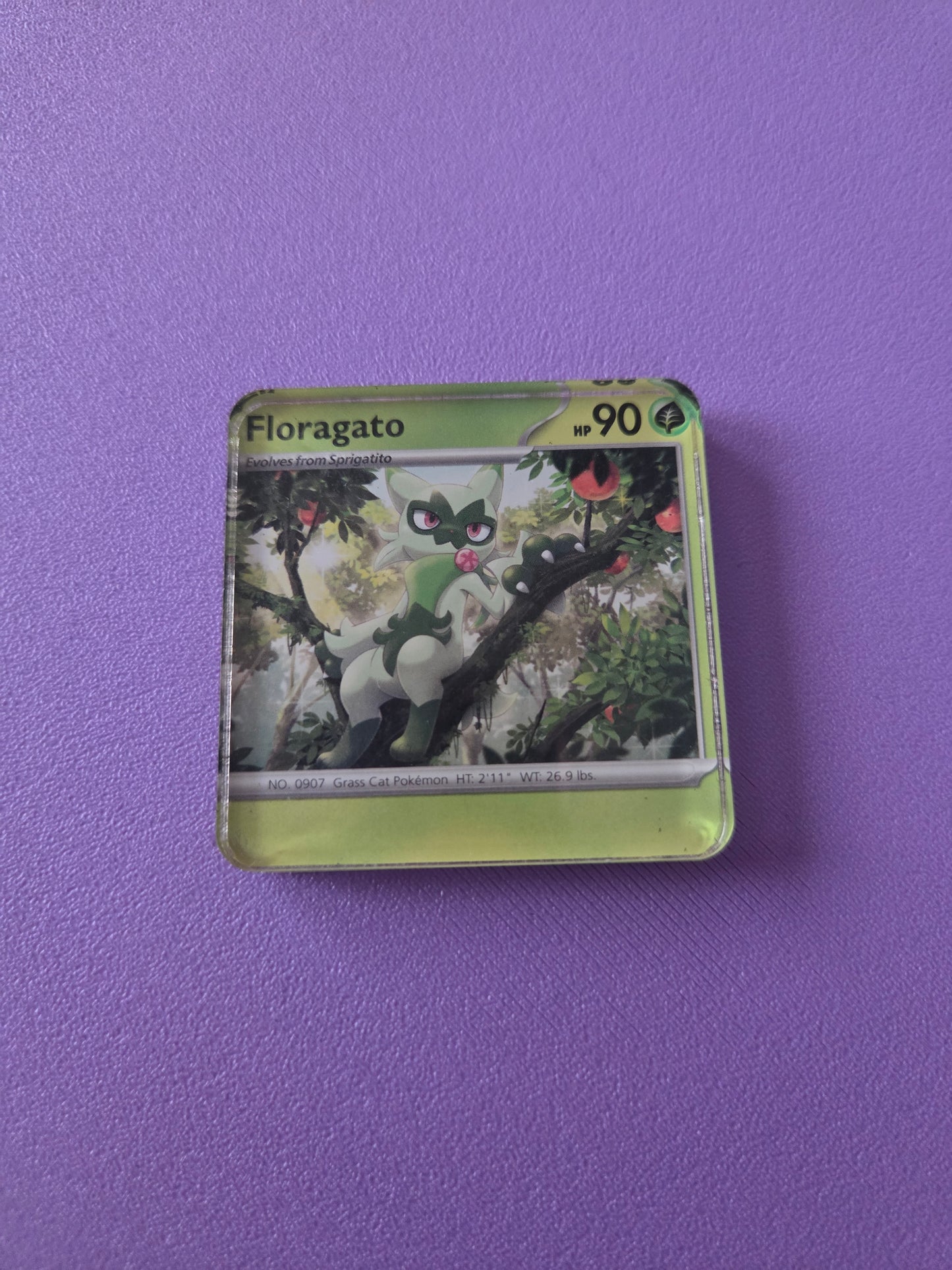 Upcycled Pokemon Card Magnets: Grass Type
